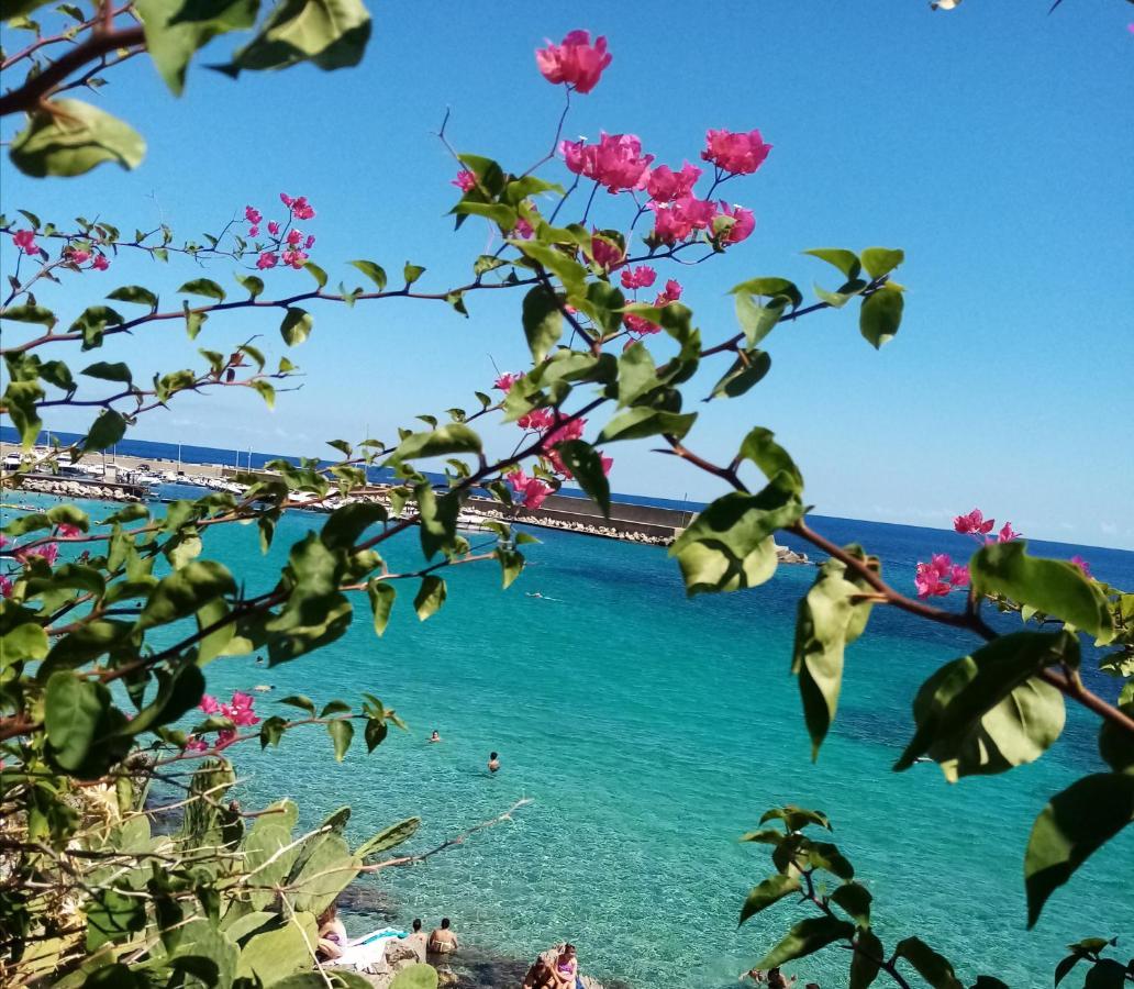 Casa Rosamarina Daire Mondello Dış mekan fotoğraf